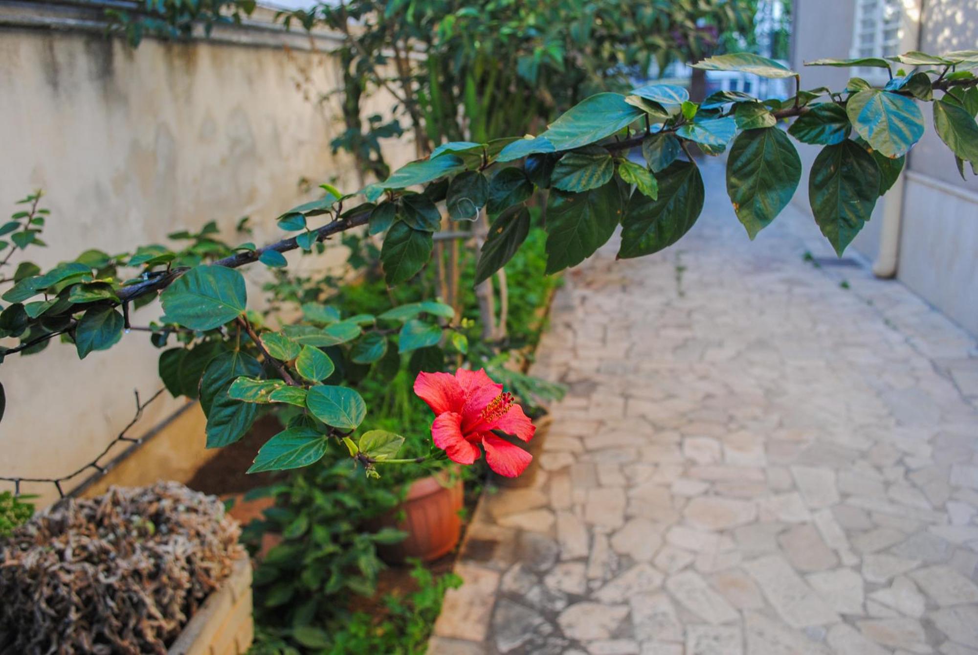 Villa Magnolia Con Giardino Бари Экстерьер фото